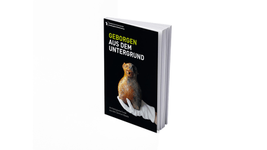 Buchcover mit Ausgrabungsmotiv und Titel 'Geborgen aus dem Untergrund'.