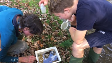 Zwei Personen untersuchen Wasserprobe im Freien mit Lupe und Probenbehälter.