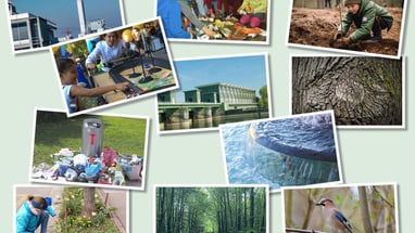 Collage von Umwelt- und Naturschutzbildern.