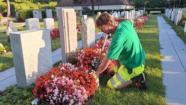 Person pflanzt Blumen auf dem Friedhof.