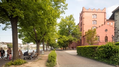 Baumgesäumter Weg mit rotem Gebäude in Basel am Rhein.
