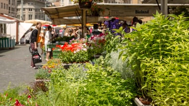 Marktszene mit Blumen und Pflanzen im Vordergrund, Menschen im Hintergrund."  
