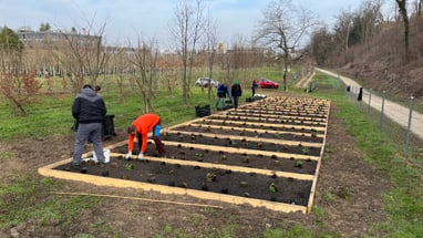 Mitarbeitende der Stadtgärtnerei beim Anpflanzen in der Testanlage.