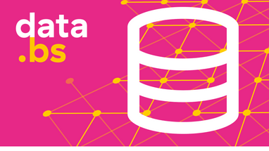 Weisse Datenbank auf rosa Hintergrund mit gelbem Netz und Text 'data.bs'.