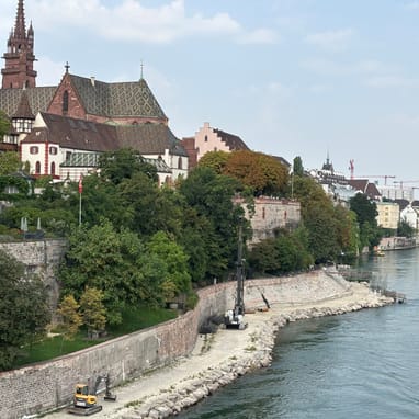 Blick auf das Rheinufer mit historischen Gebäuden und Bäumen.