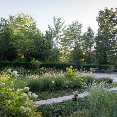 Der weisse Garten auf dem Friedhof am Hörnli.