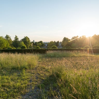 Sonnenuntergang auf dem Friedhof.