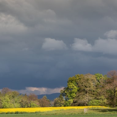 Landschaft mit dunklen Wolken und sonnenbeschienener Wiese.