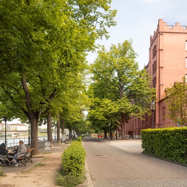 Strasse mit Bäumen und rotem Gebäude am Flussufer.