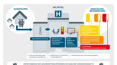 Diagramm zur Patientenversorgungskette im Spital beim Projekt SomPsyNet.