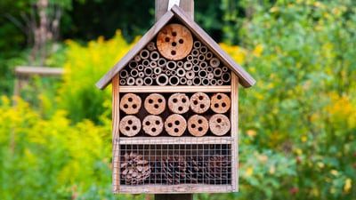 Insektenhotel im Garten