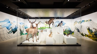 Ein Diorama mit ausgestopften Tieren und Gemälden von Bergen im Hintergrund.