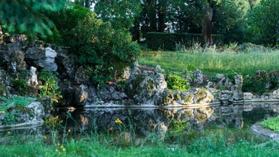 Teich mit Felsen und Pflanzen im Garten bei Tageslicht auf dem Wolfgottesacker.