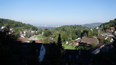 Aussicht auf grüne Landschaft mit Häusern und Wald.",