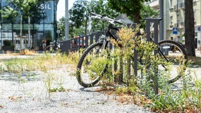 Maximale Entsiegelung von Flächen