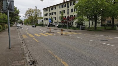 Strassenszene mit Zebrastreifen und Wohnhäusern im Hintergrund.