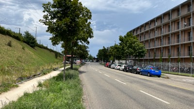 Strasse mit Autos am Rand und Bäumen, rechts ein Gebäude.