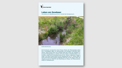 Broschüre über Gewässerlebensräume mit Pflanzen und Wasserlauf auf dem Cover.