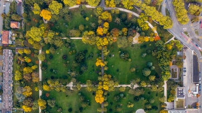 Luftaufnahme vom Kannenfeldpark mit Bäumen und Wegen.