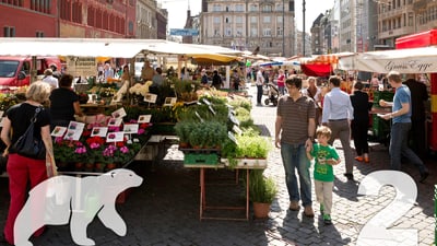 Marktszene auf dem Marktplatz in Basel mit Menschen und Pflanzenständen.