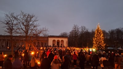 Menschen bei einer Fackellicht-Versammlung vor beleuchtetem Baum im Freien auf dem Kapellenplatz Friedhof am Hörnli.
