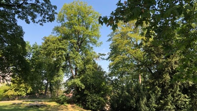 St.Alban Tor-Anlage mit grossen Bäumen und Sitzgelegenheiten.