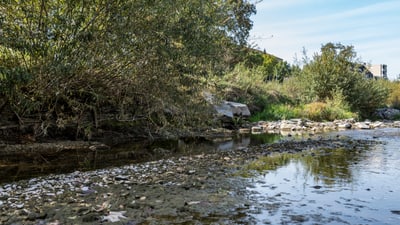 Flussufer mit Steinen und Büschen unter klarem Himmel.