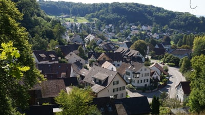 Panoramablick auf ein Dorf mit umliegenden Hügeln und Bäumen.