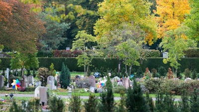 Kinderreihengräber auf dem Friedhof am Hörnli.