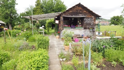 Kleiner Garten mit Holzhaus und Pflanzen.",