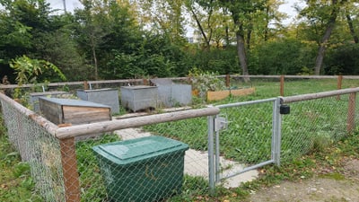 Kleiner Garten mit Drahtzaun, Hochbeeten und Kompostbehälter im Freien.