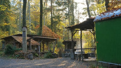 Waldszene mit grünem Gebäude und Holzstrukturen.