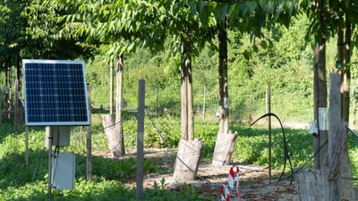 Forschungsanlage Baumschule Arlesheim