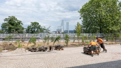 Zwei Arbeiter verlegen Pflastersteine in einem Park.