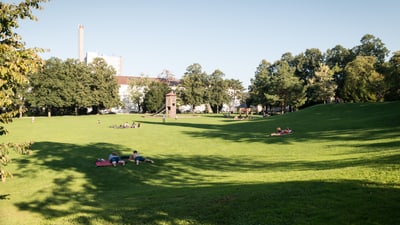 Menschen entspannen auf einer grünen Wiese im Horburgpark.