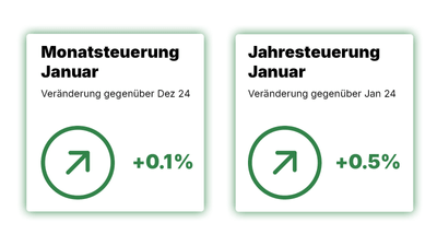 Monatsteuerung Januar 2025 +0,1%, Jahresteuerung Januar 2025 +0,5%.