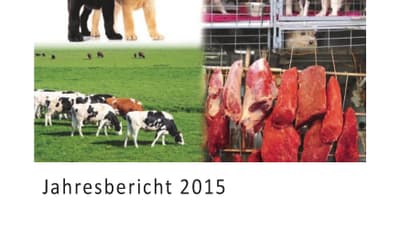 Cover des Jahresberichts 2015 des Veterinäramts Basel-Stadt mit Tieren.",