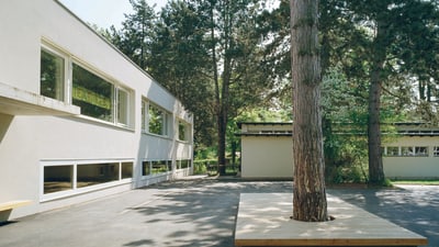 Schulhof mit Baum und Gebäuden.