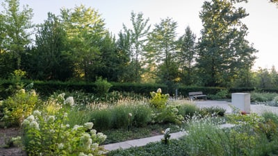 Der weisse Garten auf dem Friedhof am Hörnli.