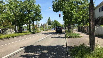 Strassenansicht mit Bäumen und Ampel bei grünem Licht.