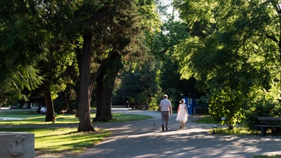 Zwei Personen spazieren auf einem Weg im Schützenmattpark.