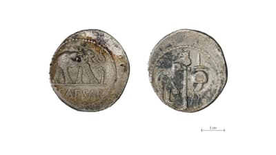 Alte Münze mit Elefant und Inschrift Caesar auf Vorderseite.