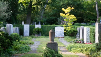 Grüner Friedhof mit Grabsteinen und Bäumen.