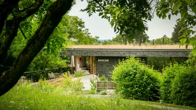 Modernes Gebäude namens Avalon inmitten von Bäumen und Natur.