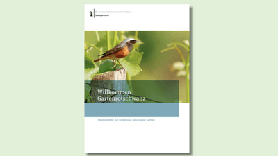 Broschüre mit Gartenrotschwanz auf dem Cover.