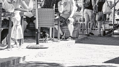 Strassencafé-Szene mit Menschen und Hund in Schwarzweiss.