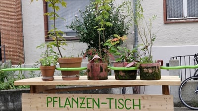 Holztisch mit Pflanzen vor einem Gebäude auf der Strasse.
