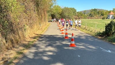 Gruppe von Läufern auf einer ländlichen Strasse mit Verkehrskegeln.