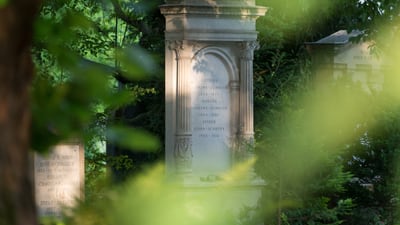 Grabstein hinter grünen Blättern auf dem Friedhof sichtbar.