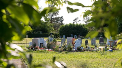 Reihengrabfeld für Muslime auf dem Friedhof am Hörnli.